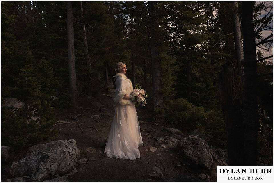 grand teton destination wedding bride alone in forest portrait