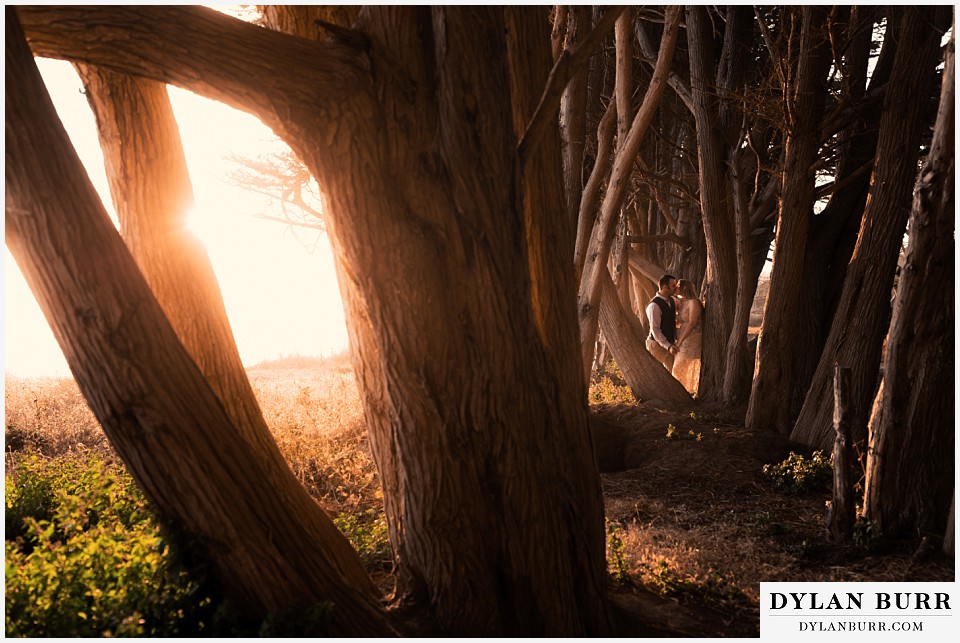 santa cruz california elopement wedding adventure bride and groom in cypress tree tunnel at sunset wide shot