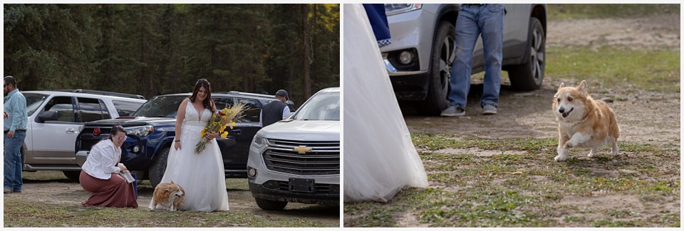 adventure elopement western colorado bride and her corgi