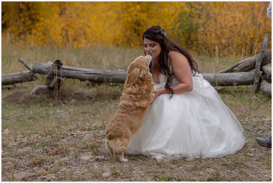 adventure elopement western colorado corgi kisses