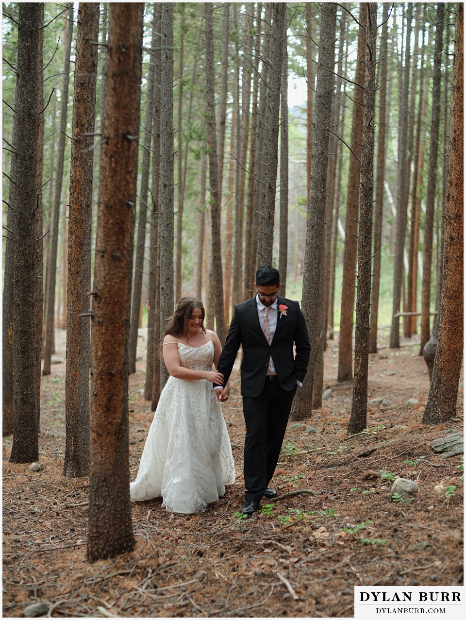all day elopement in Rocky Mountain National Park walking together in pine trees