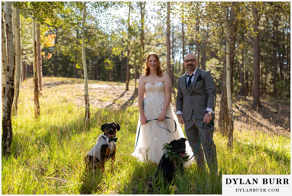 black forest by wedgewood wedding bride and groom with thier dogs
