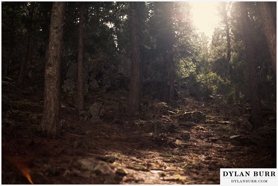 blackstone rivers ranch wedding venue pine trees