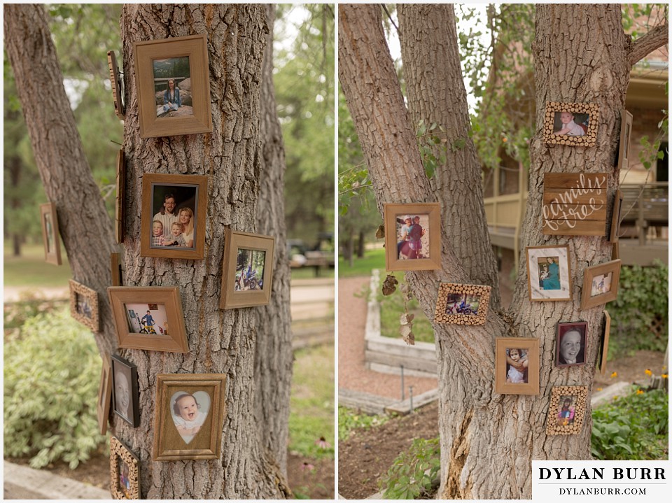 boho backyard colorado wedding family tree photos