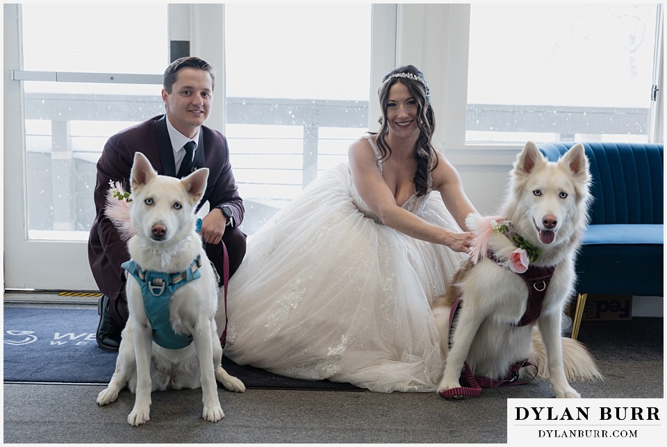 boulder creek by wedgewood weddings couple and their dogs