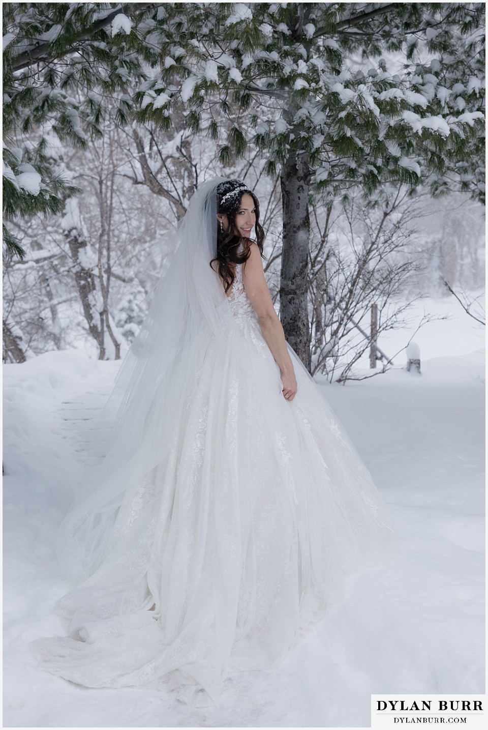 boulder creek by wedgewood weddings beautiful bride in pine trees