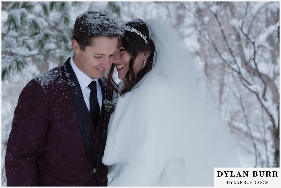 boulder creek by wedgewood weddings happy newlywed couple laughing in snow covered pine trees