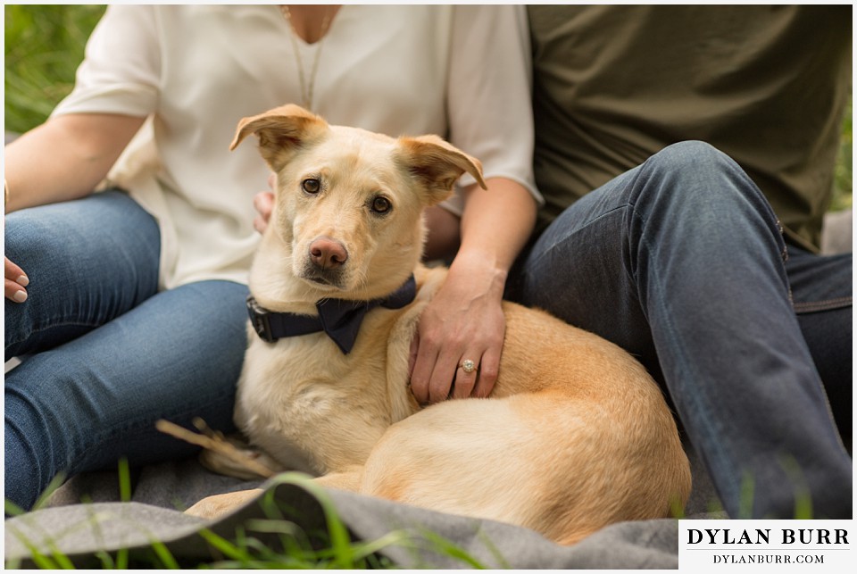 boulder wedding engagement session potcake dog