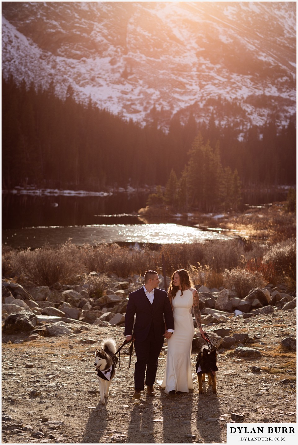 wedding couple walking with dressed up dogs in mountains at sunset breckenridge colorado wedding