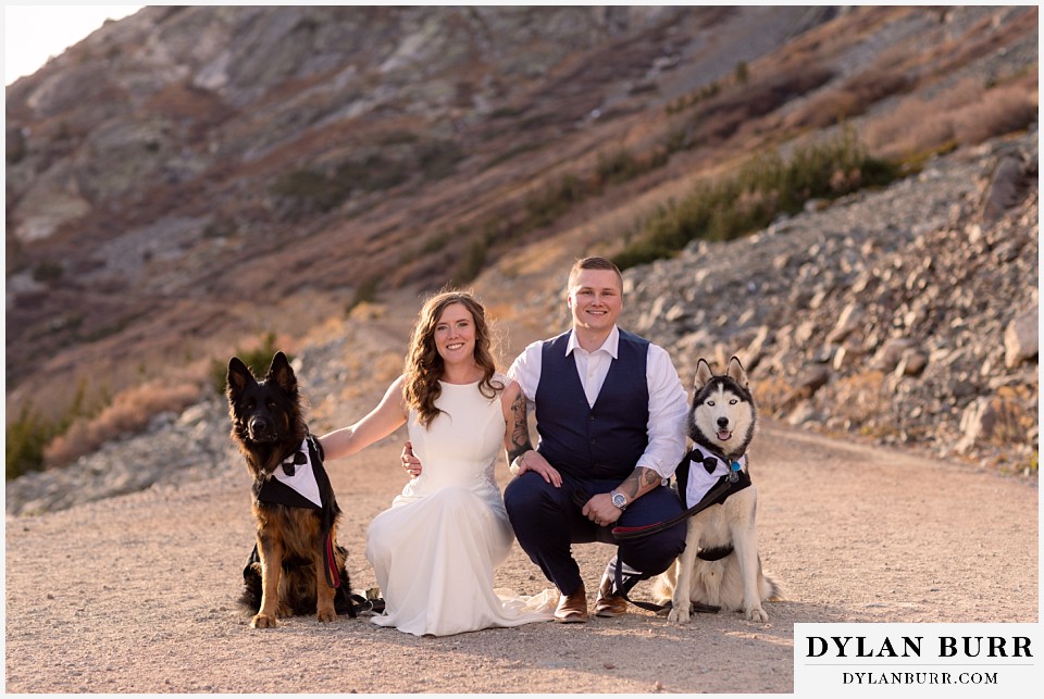 breckenridge colorado wedding with dogs