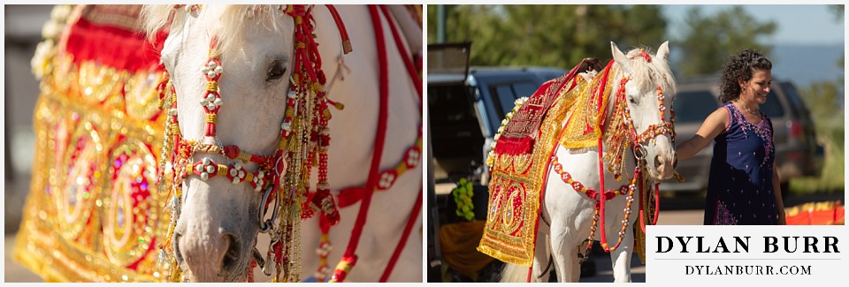 cielo at castle pines wedding colorado mountain wedding barat horse