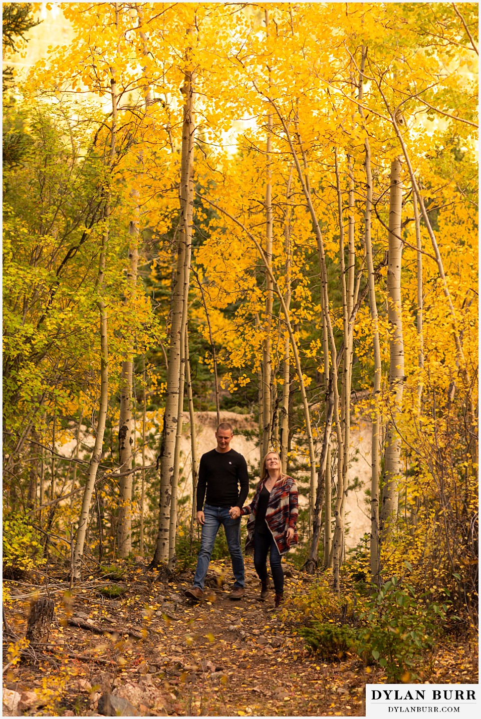 engagement photos in colorado couple standing with tall aspen trees