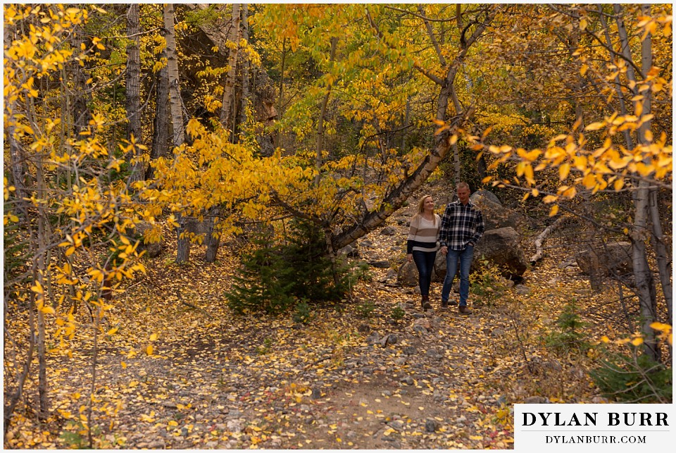 engagement photos in colorado couple walking through yellow treed forest