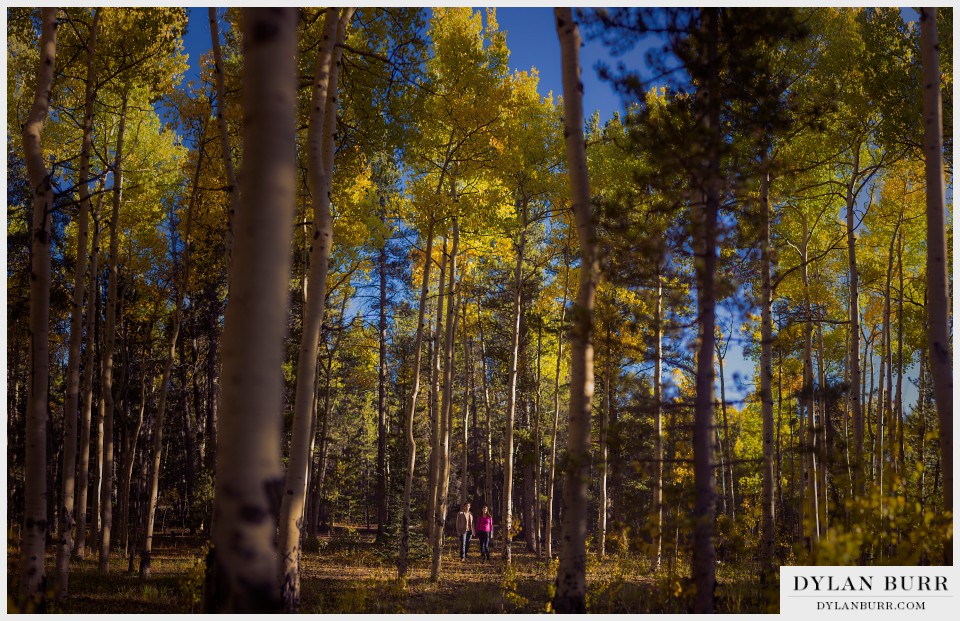 fall engagement photos in colorado