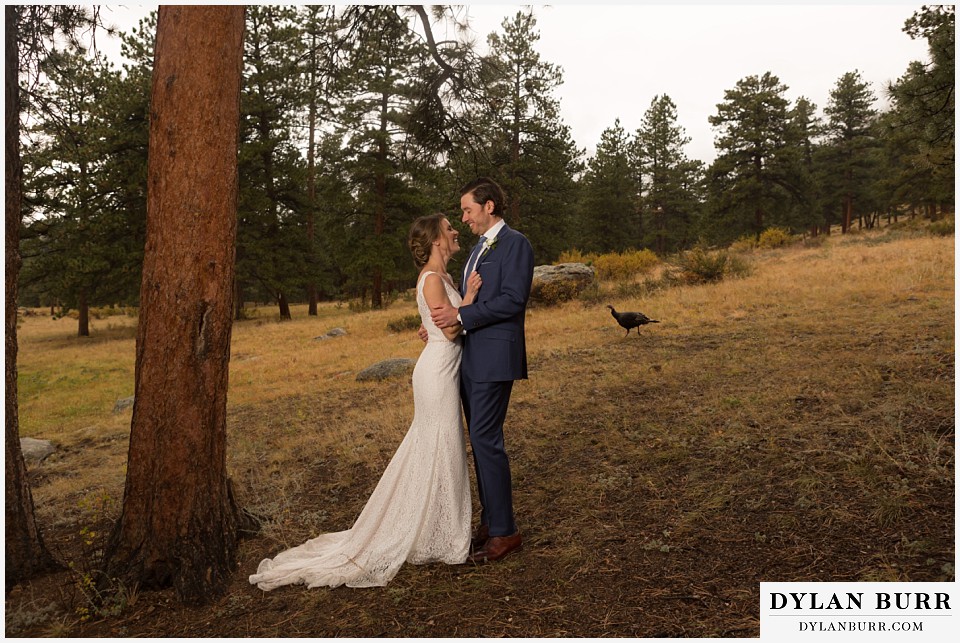 della terra wedding estes park colorado mountain wedding wild turkey walking in background