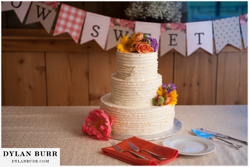 devils thumb ranch wedding cake