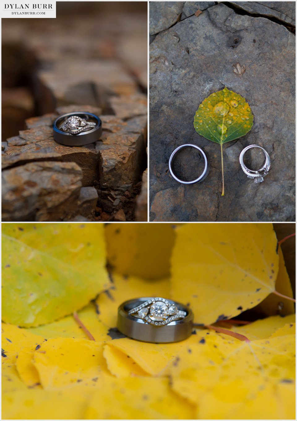 durango mountain wedding photographer ring shots photos yellow aspen leaves