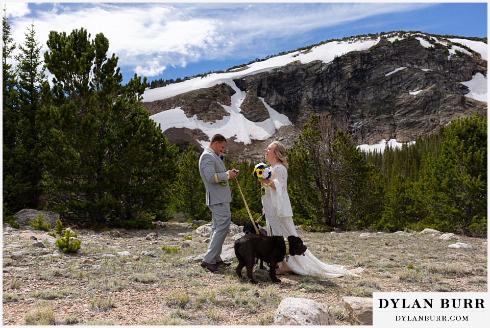 sharing vows in the colorado mountains with thier dogs