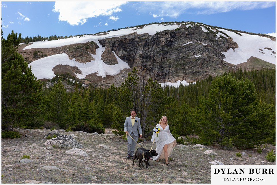 just married in colorado mountains with their dogs