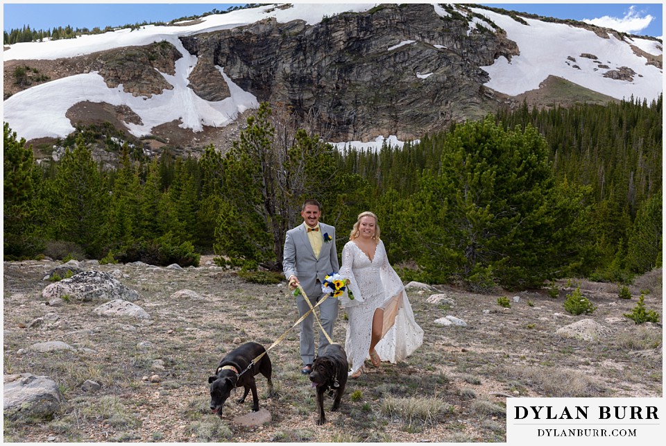 elope in colorado mountains with dogs