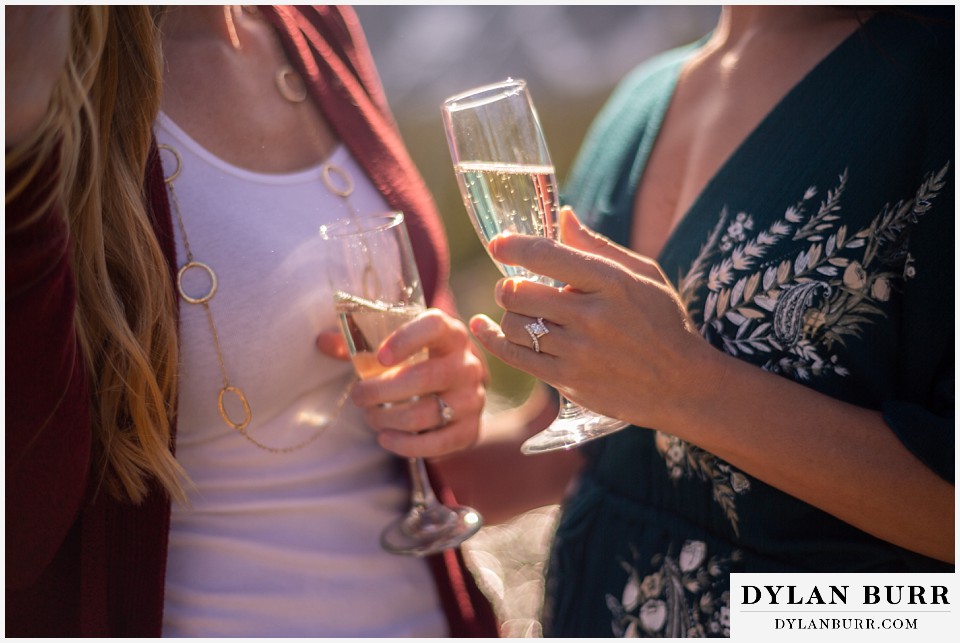estes park engagement photos close up of champagne and engagement rings