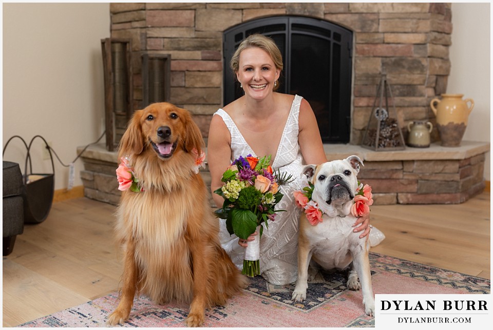 breckenridge elopement wedding with dogs