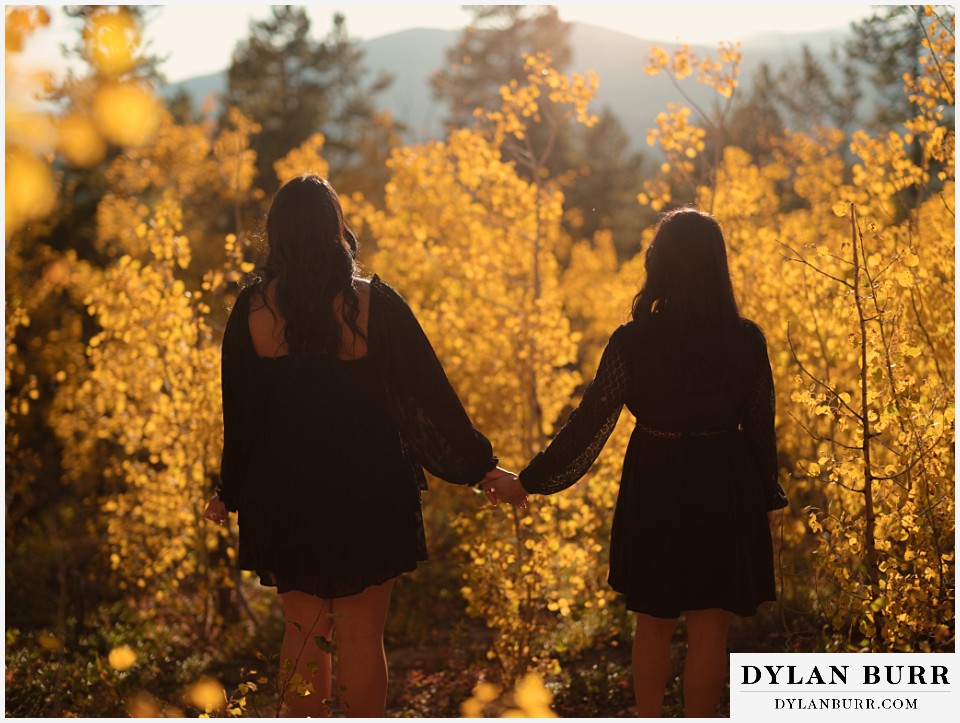 golden gate state park elopement wedding surrounded by golden yellow tree leaves in fall