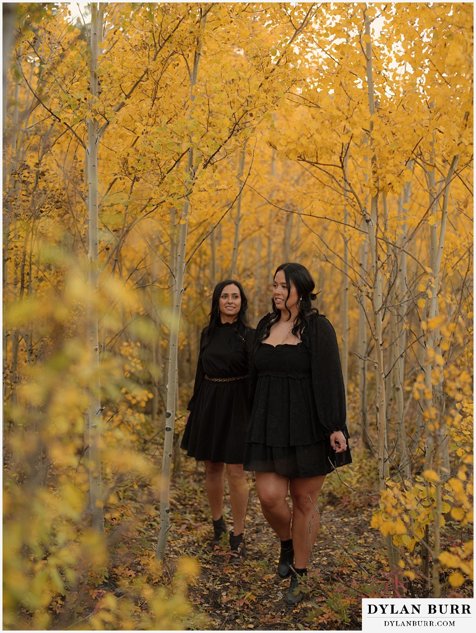 golden gate state park elopement wedding newlywed couple walking together in young aspen tree forest