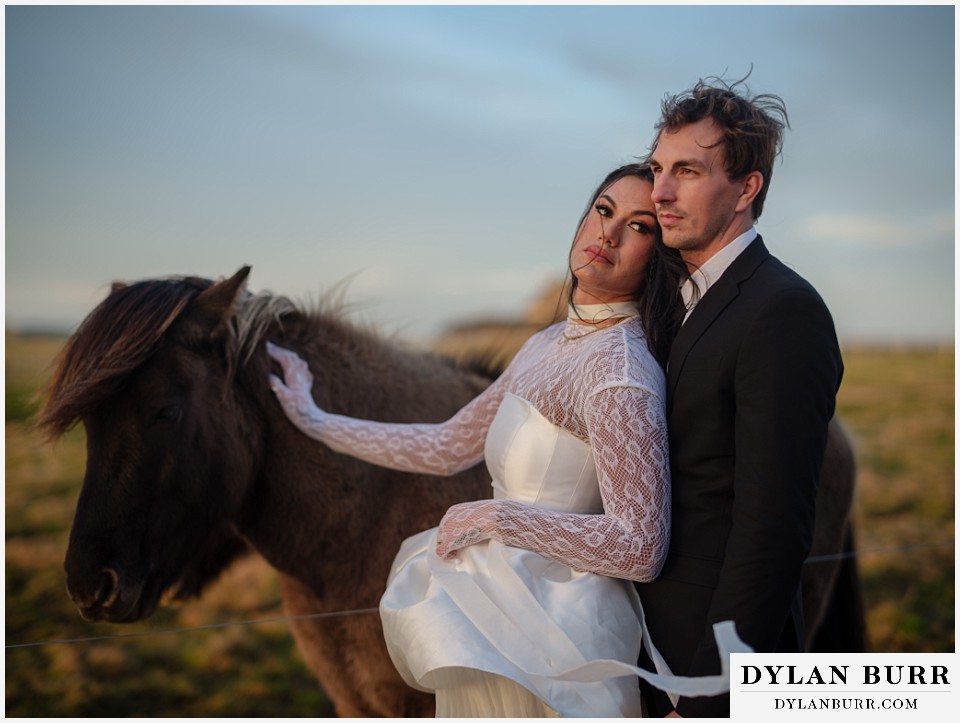 iceland elopement near selfoss with icelandic horses standing with horse