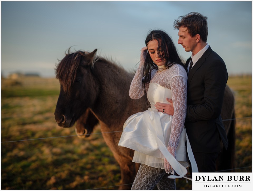 iceland elopement near selfoss with icelandic horses couple with horse at sunrise