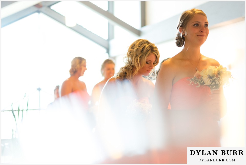 lookout mountain wedding bridesmaids all lined up
