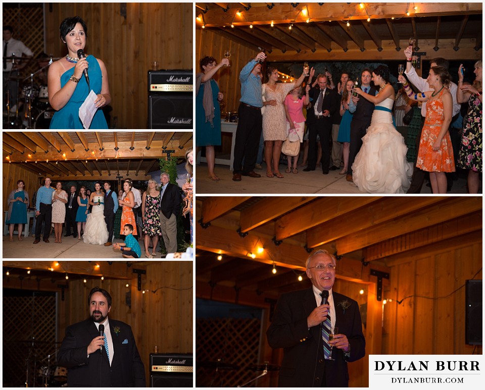 lyons farmette wedding guests giving toasts