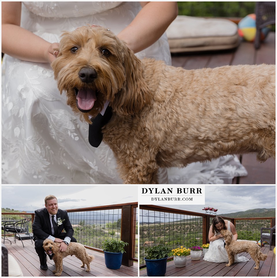 marble colorado elopement wedding couple with their dog