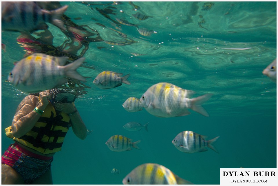 maroma adventures snorkling mexico destination wedding photographer