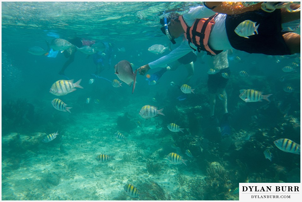 maroma adventures snorkling mexico destination wedding photographer