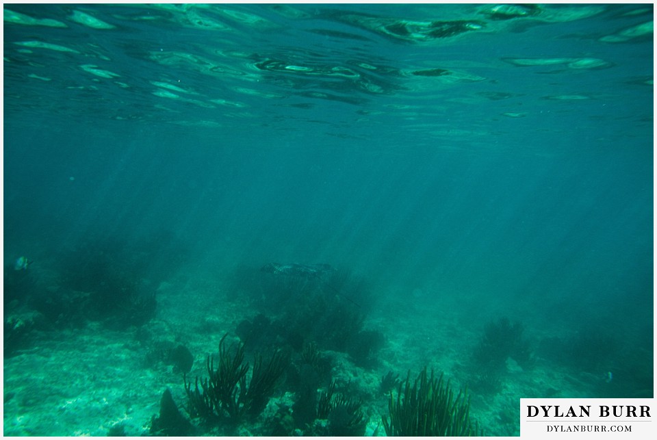 maroma adventures snorkling mexico destination wedding photographer reef