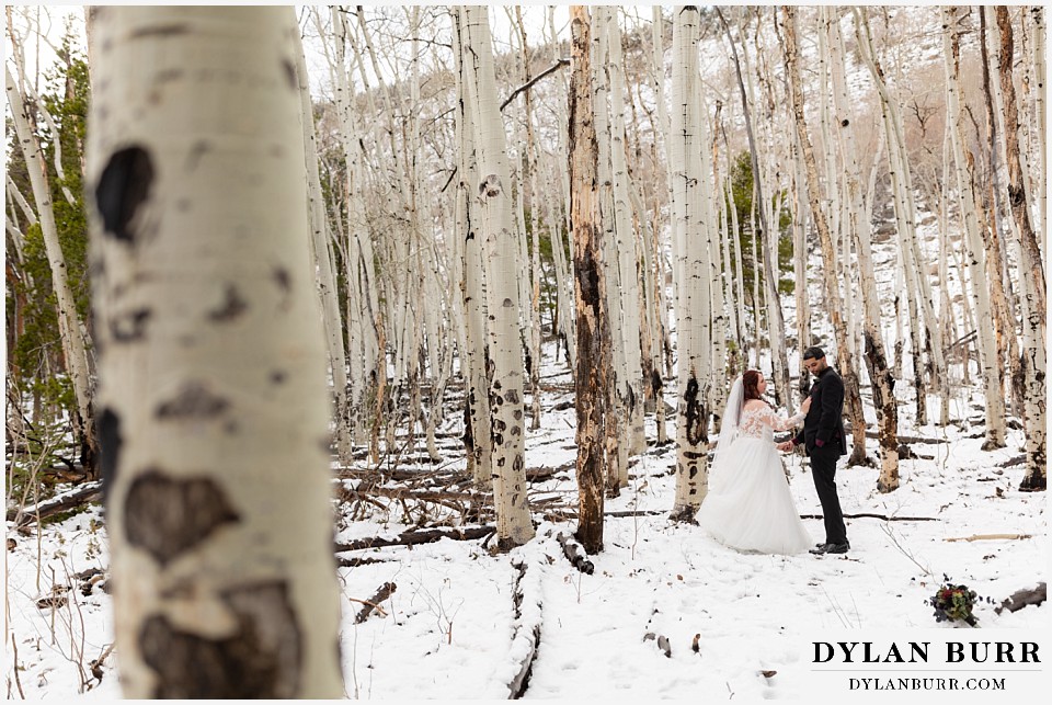 wide view of couple in winter and the aspen trees