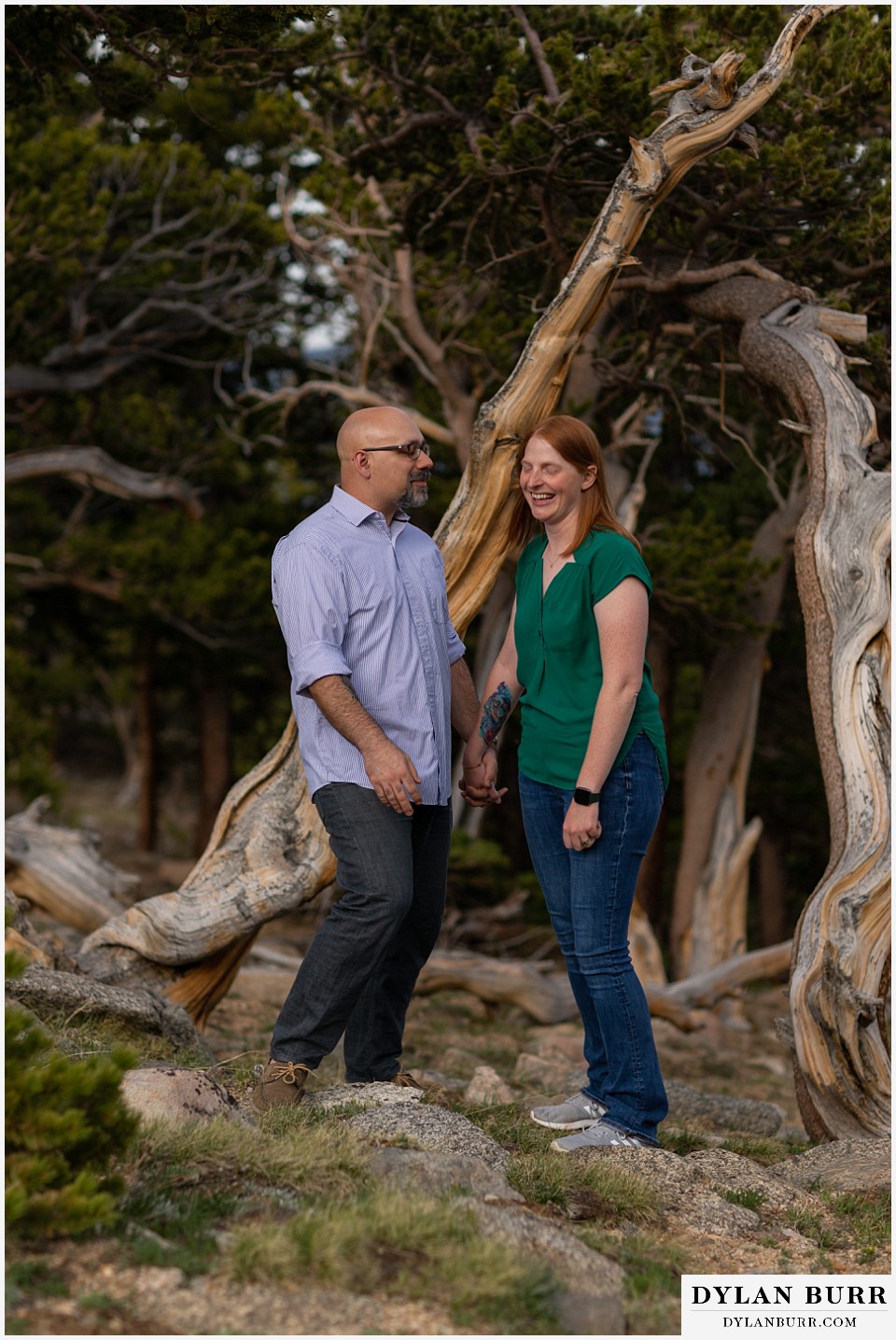 couple laughing together in some wind swept pine trees