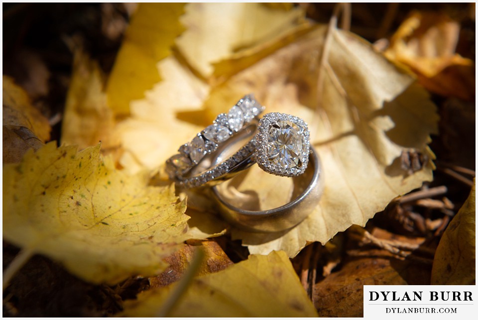 fall wedding rings
