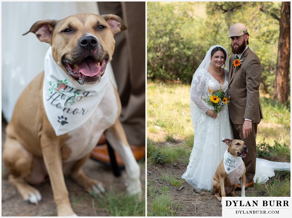 pagosa springs elopement wedding couple with their dog