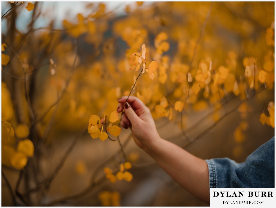 fall mountain engagement photo session yellow leaf detail