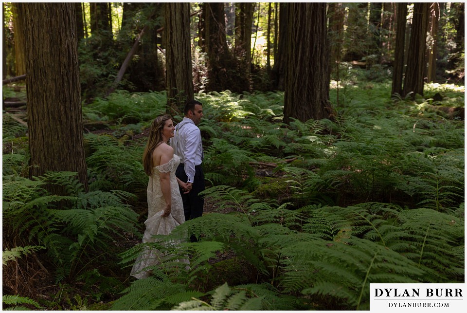 redwood forest wedding elopement avenue of the giants california