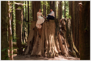 redwood forest wedding elopement avenue of the giants california