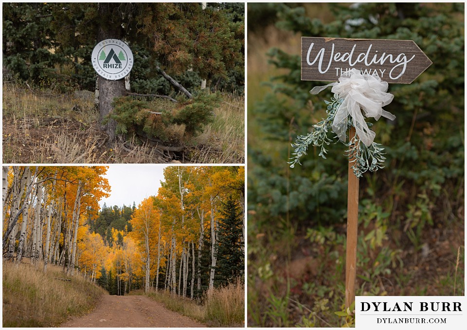 rhize weddings colorado yellow aspen lined roads