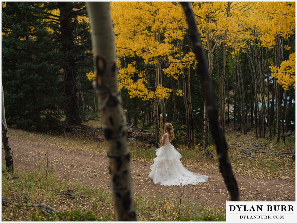rhize weddings colorado bride in aspen forest in the fall waiting for groom