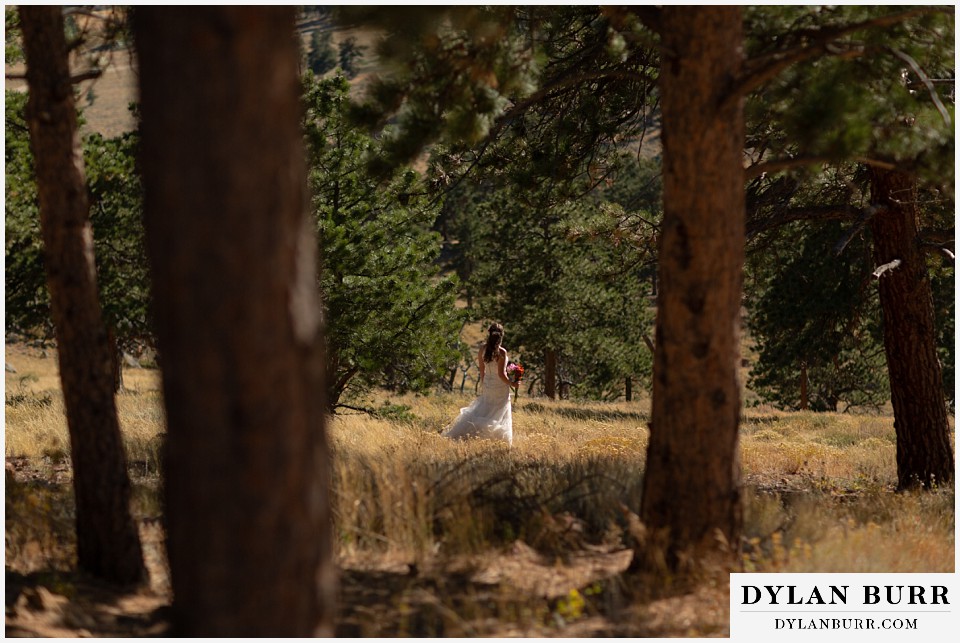 rocky mountain national park elopement wedding bride waiting alone in the trees