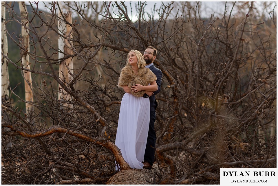rocky mountain national park wedding elopement bride and groom on a giant fallen tree