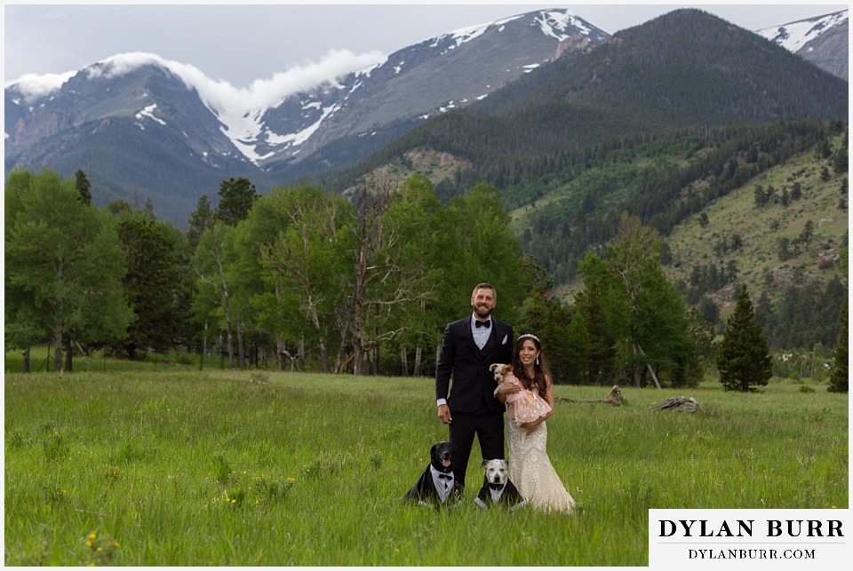 rocky mountain national park wedding elopement colorado wedding photographer dylan burr bride and groom with their fur babies