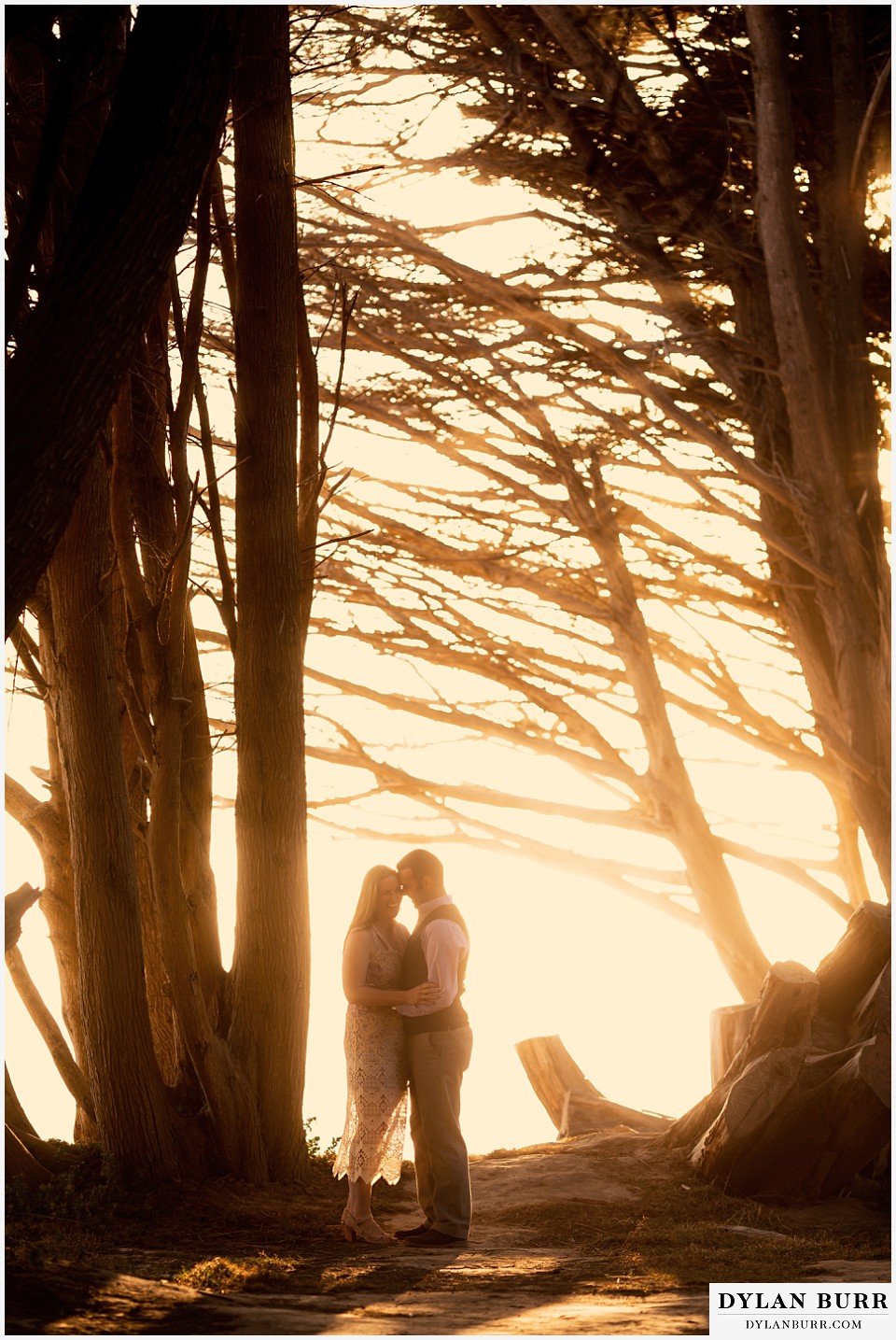 santa cruz california elopement wedding adventure bride and groom standing in cypress trees at sunset