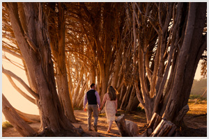 santa cruz california elopement wedding adventure